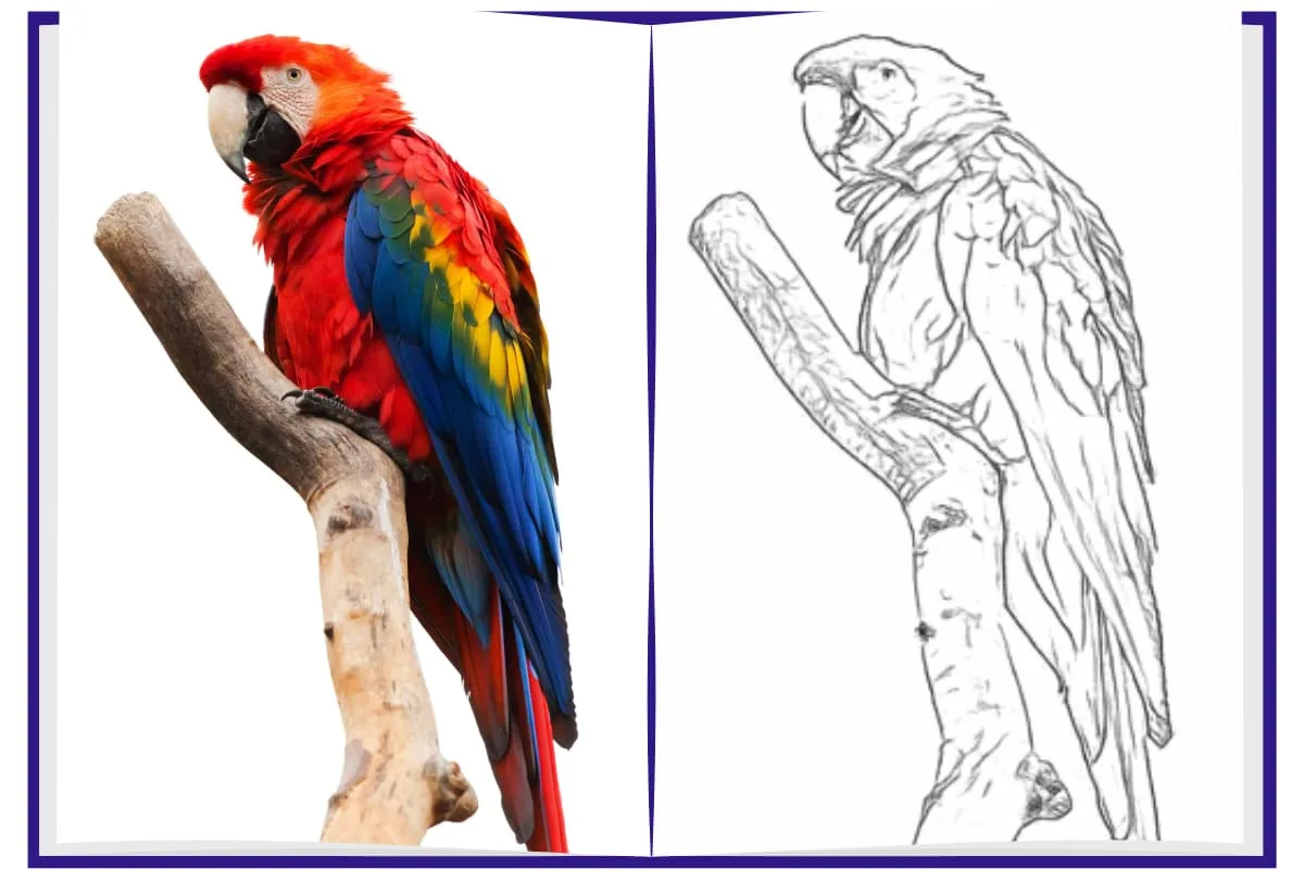 Pencilify ai line drawing قدرة الأداة على تحويل الصور الطبيعية و الحيوانات إلى رسومات رصاص