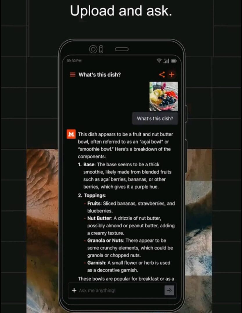 واجهة المستخدم داخل تطبيق Le Chat واجهة المستخدم داخل تطبيق Le Chat - روبوت الدردشة يقوم بتحليل صورة مرفوعة