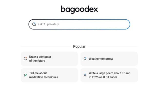 واجهة محرك البحث بالذكاء الاصطناعي Bagoodex
