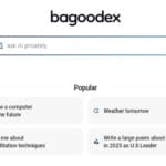 واجهة محرك البحث بالذكاء الاصطناعي Bagoodex.