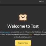 واجهة موقع Chat.Tost.ai تعرض شعار التوست وعبارة Welcome to Tost.